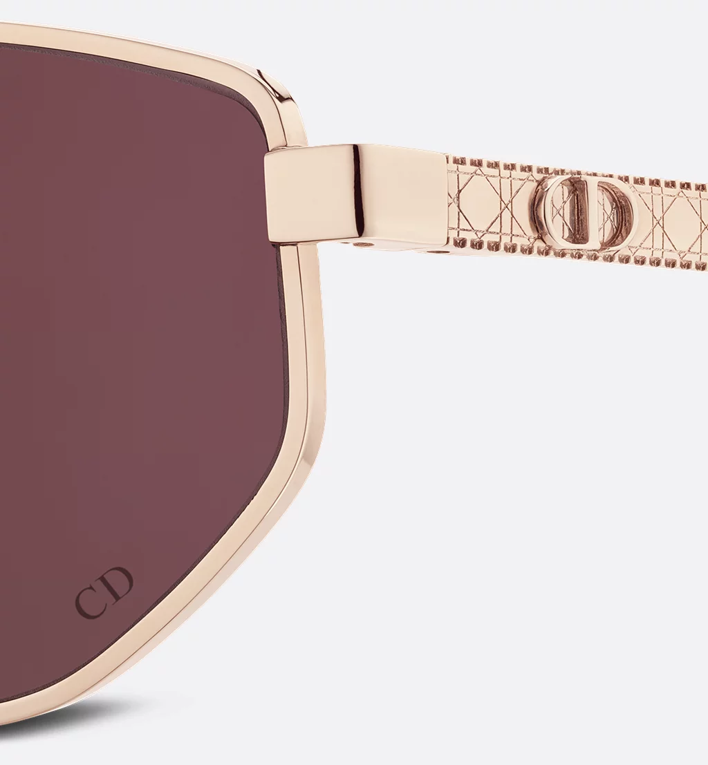 DiorCannage B1U - Image 4